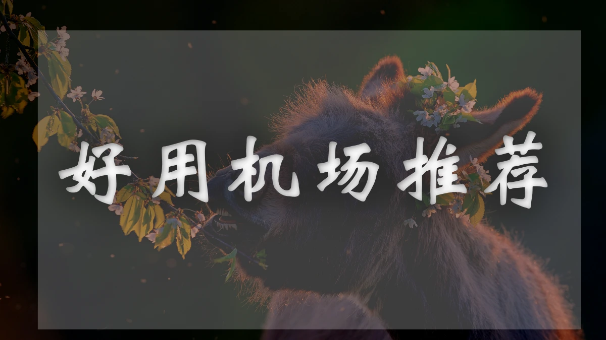 fastlink机场图片展示