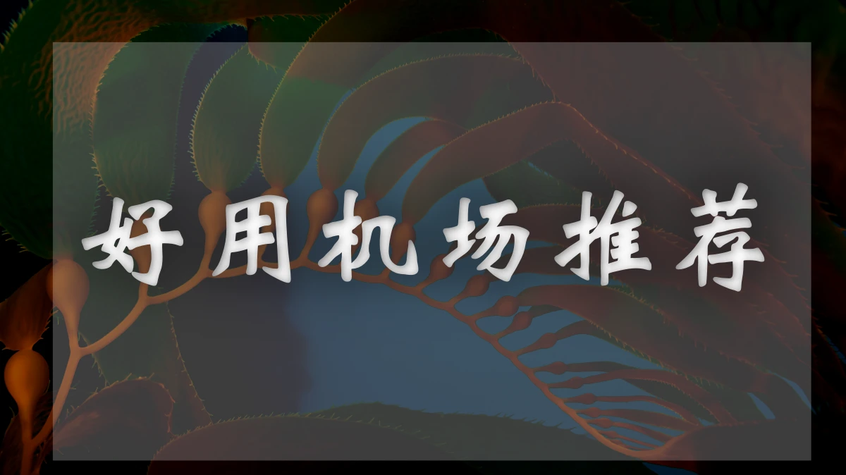TAG机场图片展示