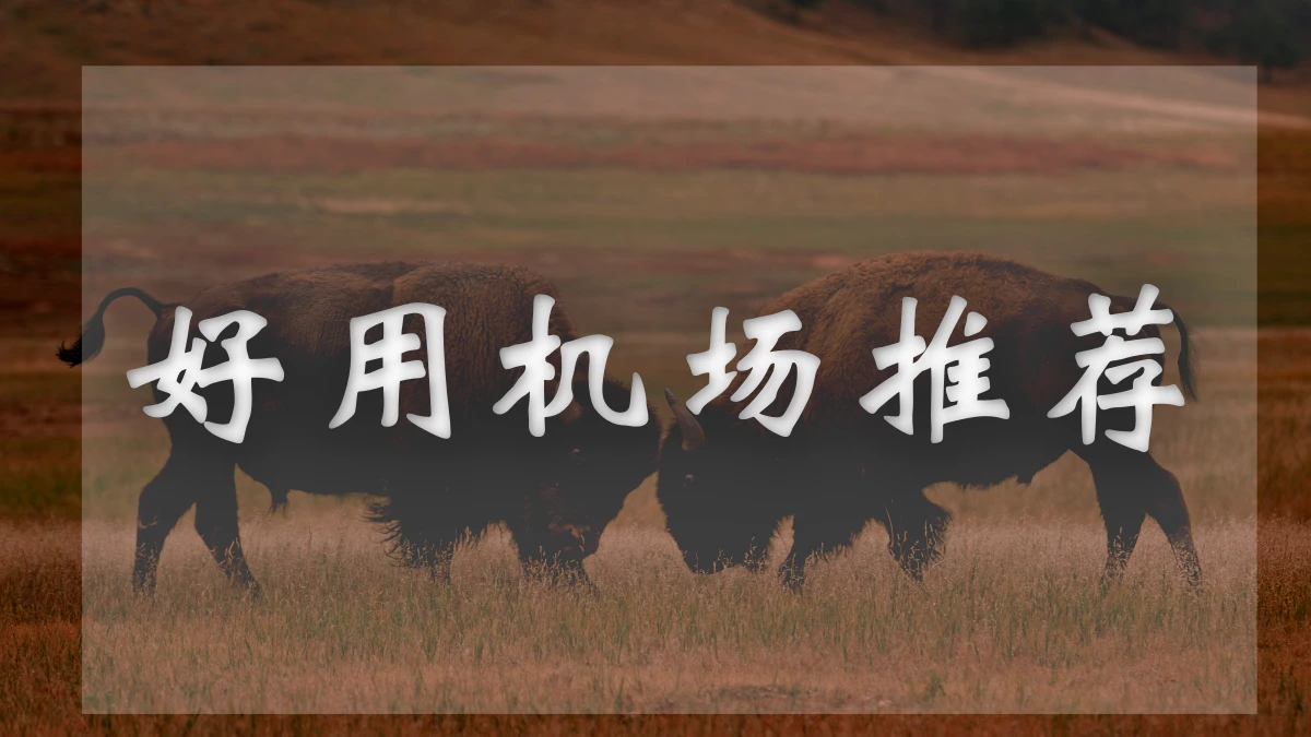 虫洞机场图片展示