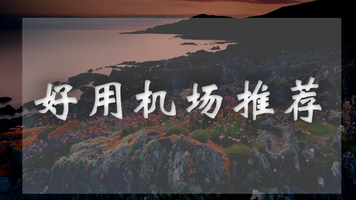 狗狗加速机场图片展示