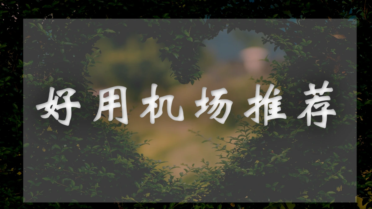 ssrdog机场图片展示