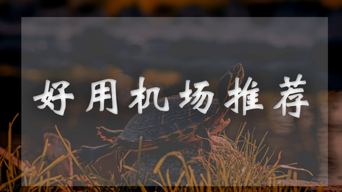 NiceDuck机场图片展示