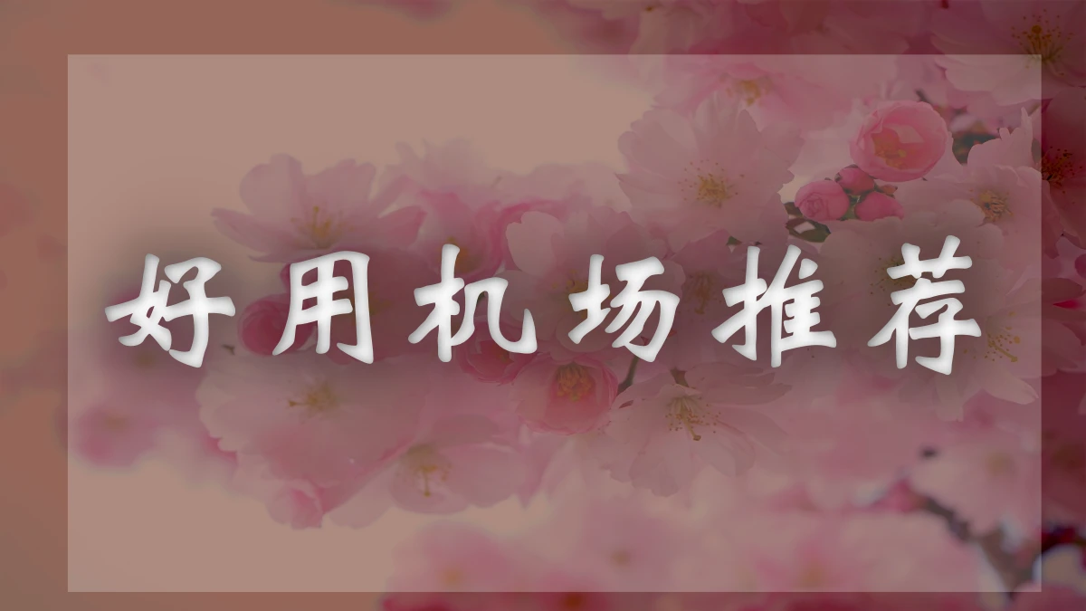 哈基米机场图片展示