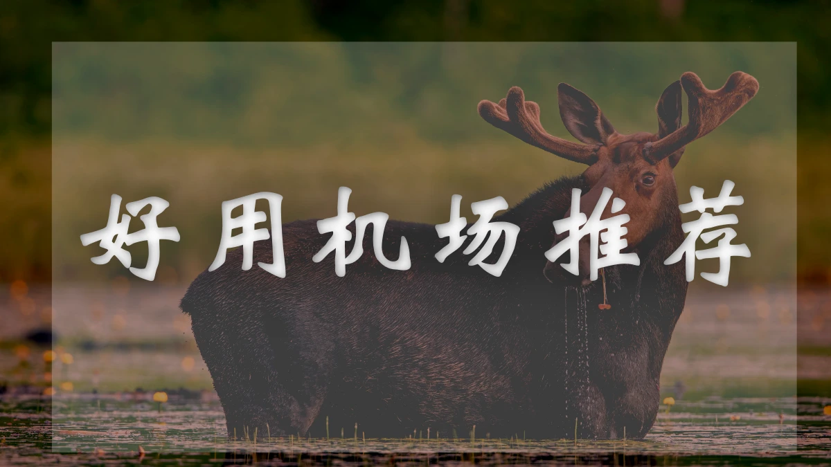 大哥云机场图片展示
