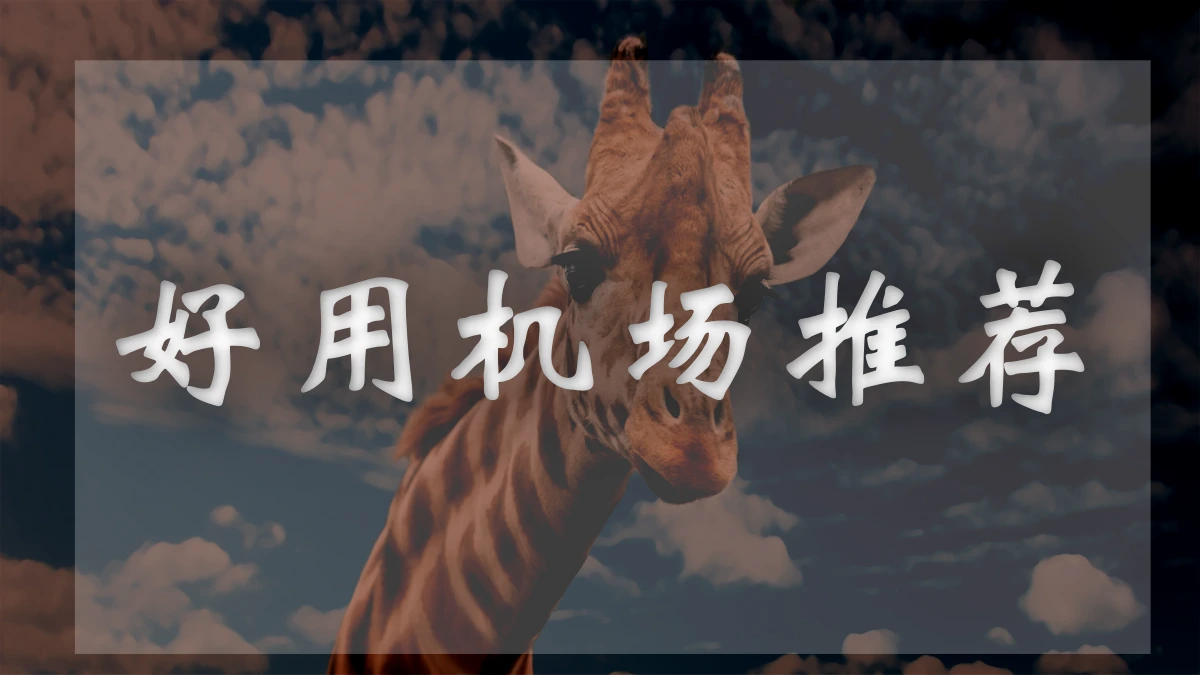 便宜好用稳定机场图片展示
