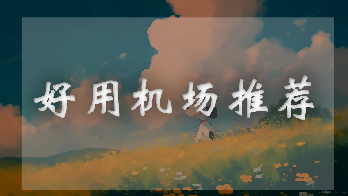 XSUS机场图片展示