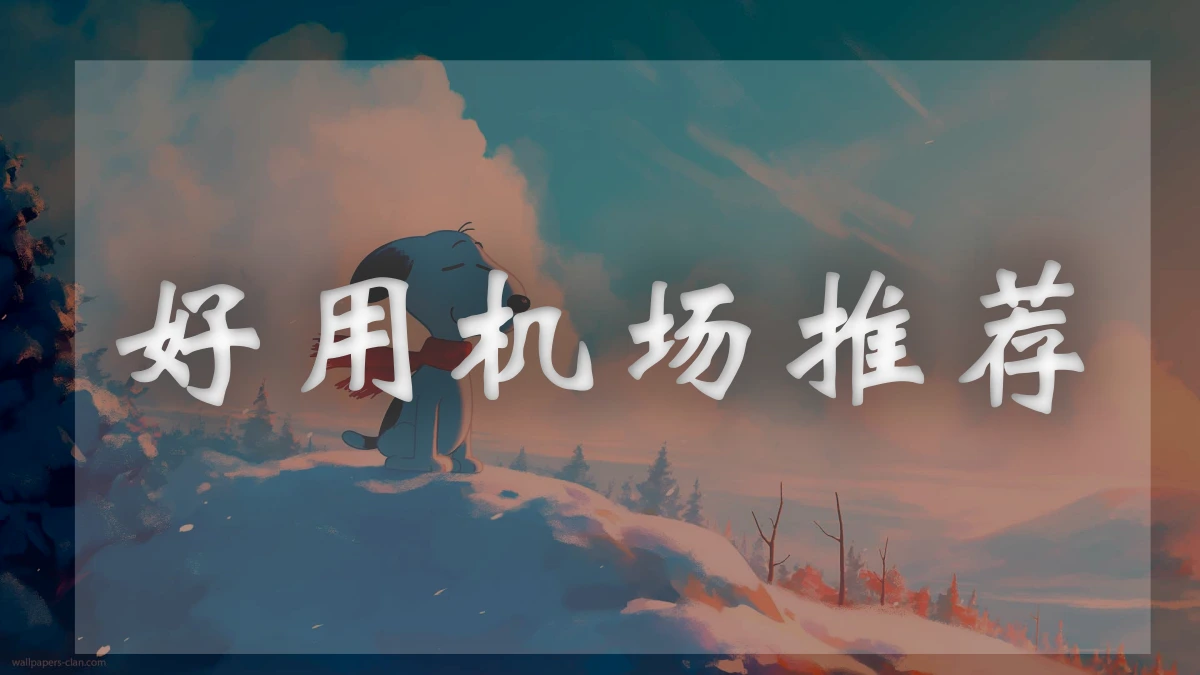 XSUS机场图片展示
